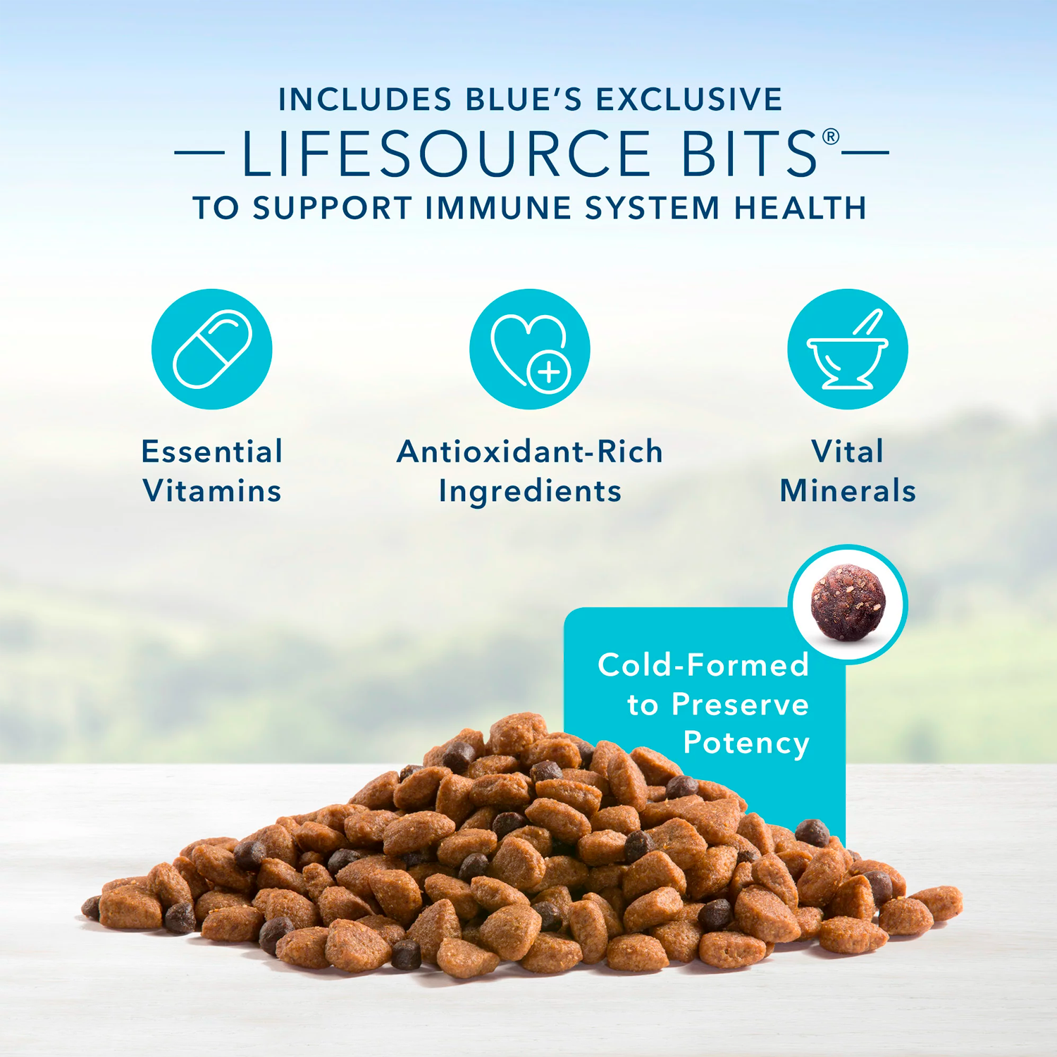 Blue Buffalo Life Protection Formula Chicken and Brown Rice Dry Dog Food for Senior Dogs, Whole Grain, 5 lb. Bag – Bild 4
