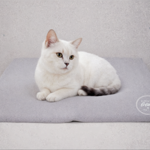 Bravpet Self Cooling Mat