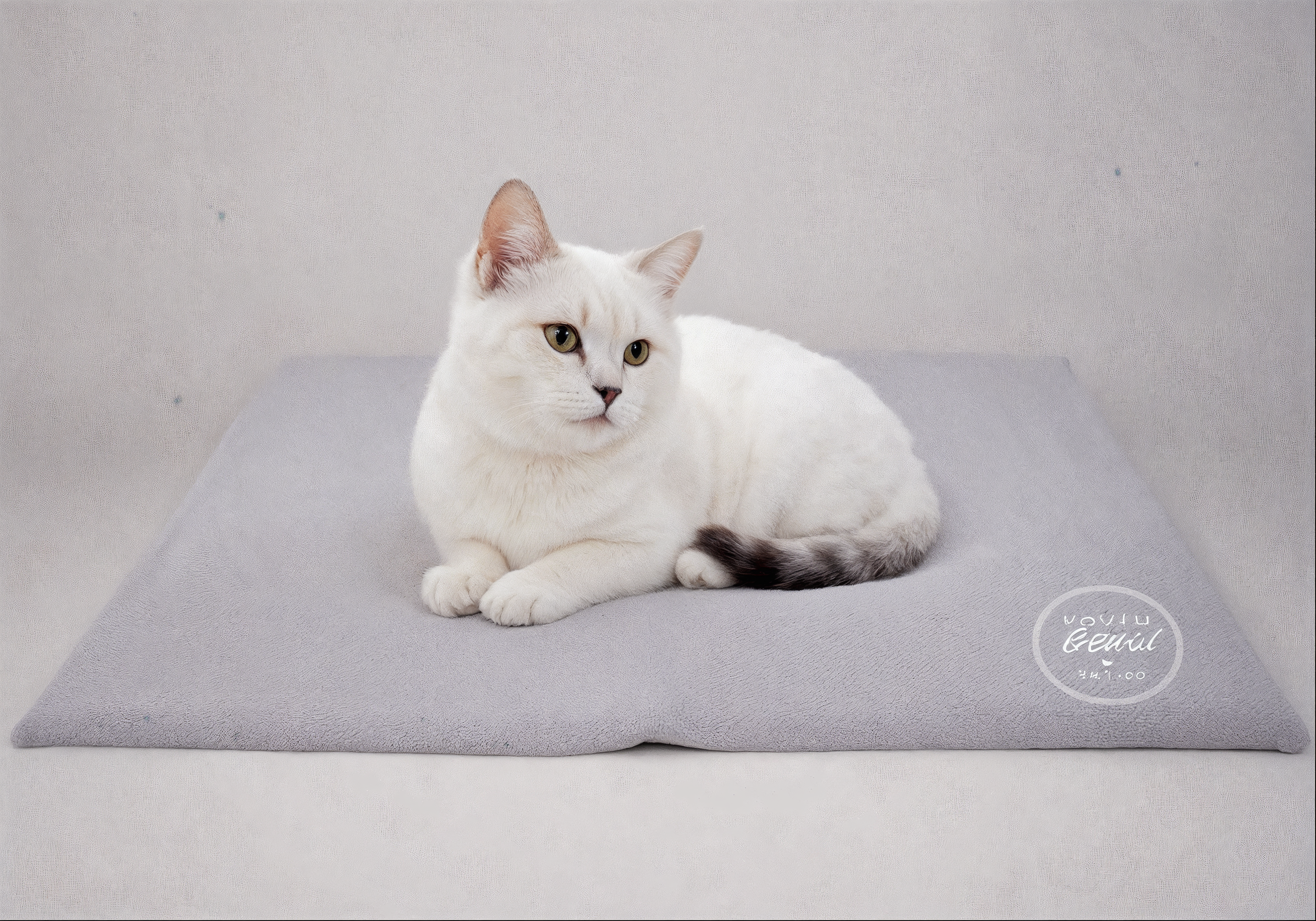 Bravpet Self Cooling Mat